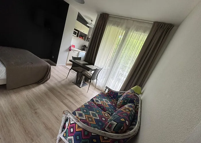 T1 Piscine Chauffee Parking Gratuit Les Hauts Dhonfleur